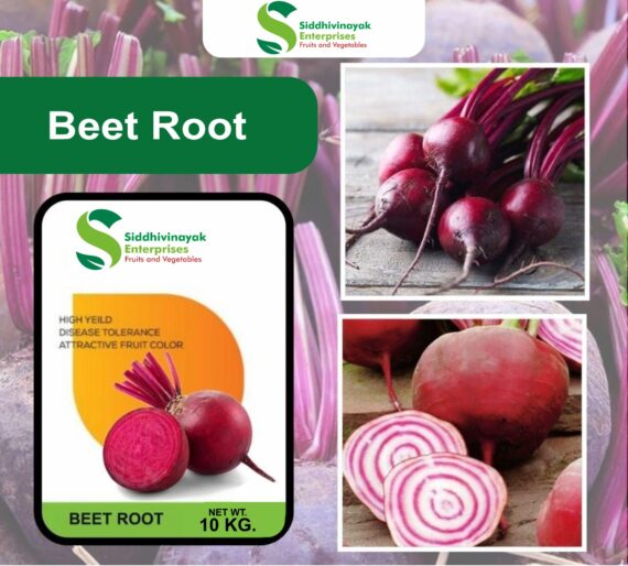 Beet Root