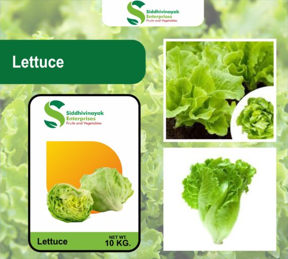 Lettuce