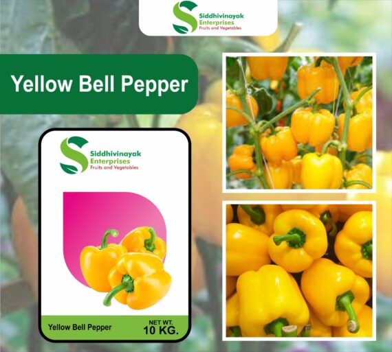 Yellow bell pepper